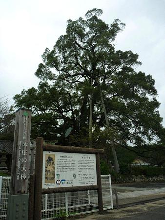 P1010318