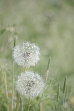 IMGP0091