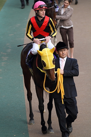 ブエナビスタ2010JC1