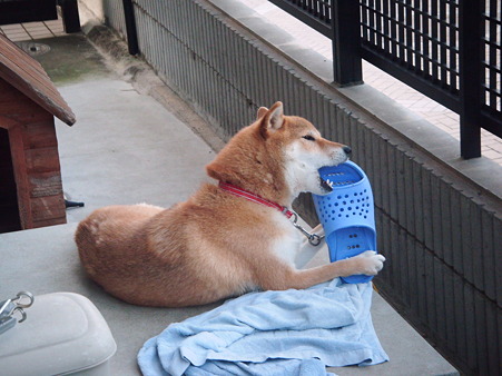 2010_10020004