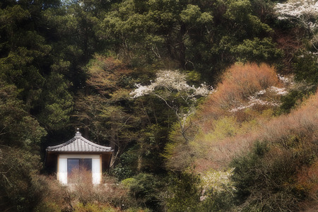 山腹の休憩場