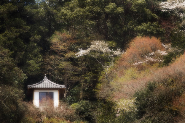 山腹の休憩場