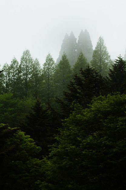 霧の六甲山