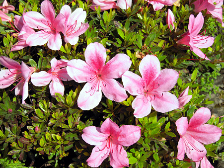 DSCN0861_edited