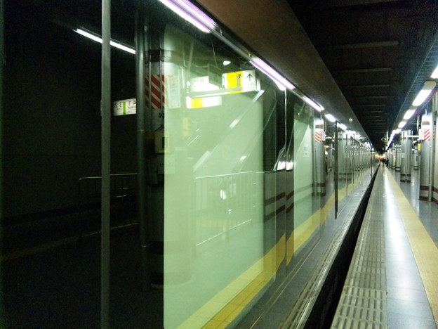 E655系電車「なごみ」 II