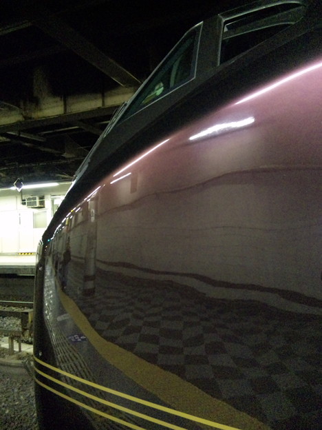 E655系電車「なごみ」 III