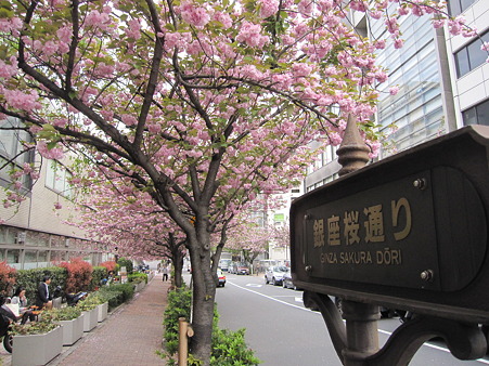 銀座桜通り