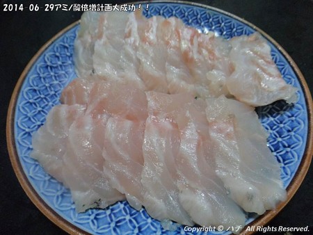 2014-06-29アミノ酸倍増計画大成功!!