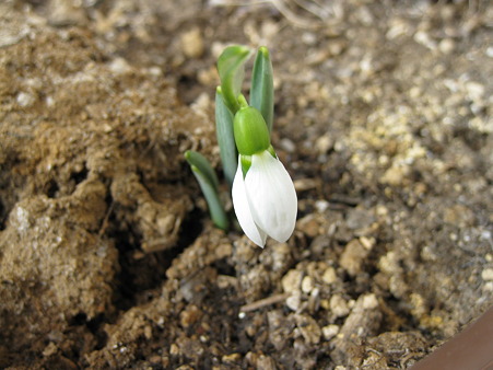 2月23日