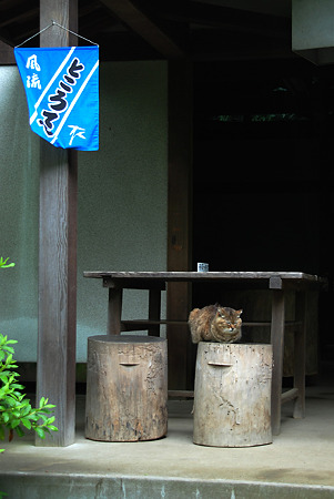 待春軒