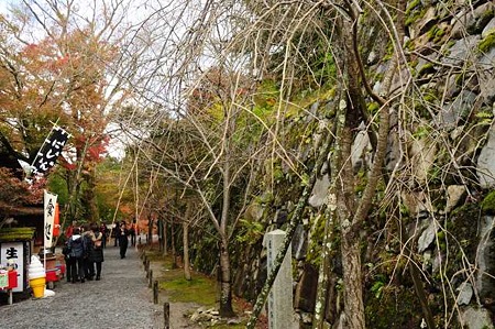 0911181033_DSC_0751
