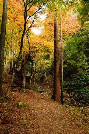 0911181217_DSC_1173