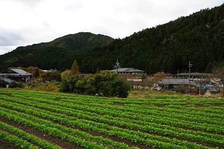 0911181252_DSC_1239