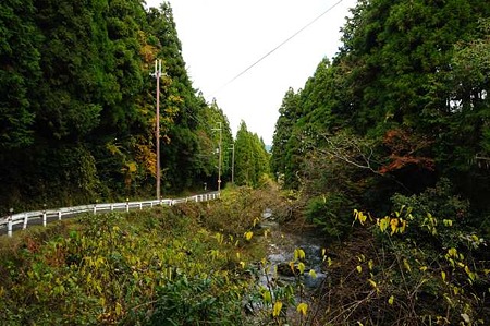 0911181310_DSC_1261