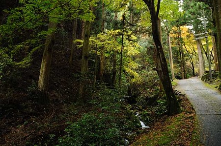 0911181331_DSC_1293