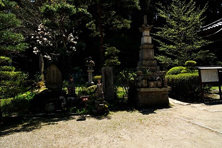 1005031244_DSC_3206