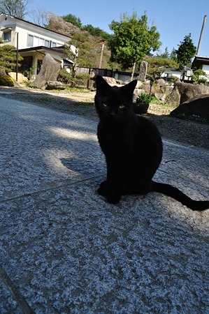 1005031448_DSC_3717