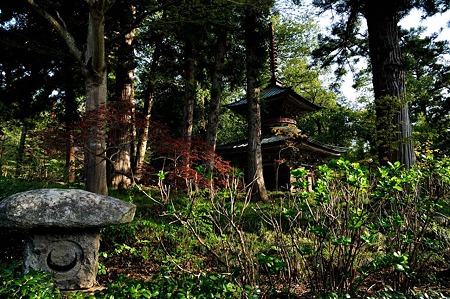 1005031625_DSC_3923