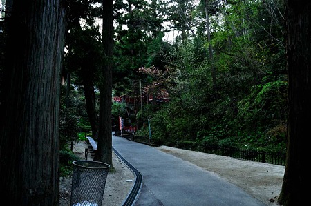1005031735_DSC_4174