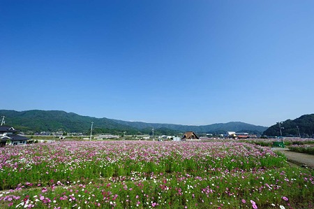 1010130948_DSC_1528