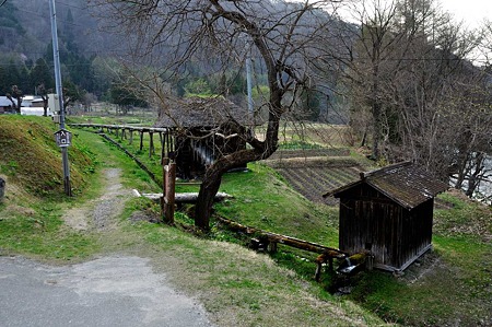 1005041702_DSC_4787