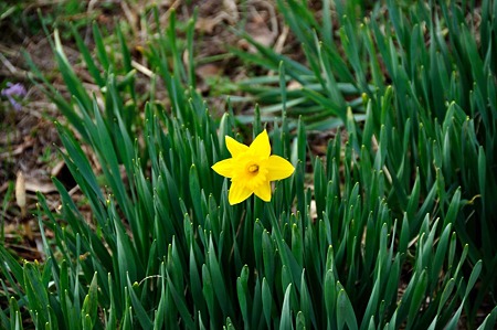 1005041715_DSC_4879