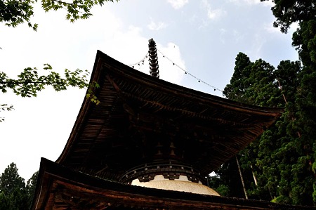 1008210953_DSC_7843