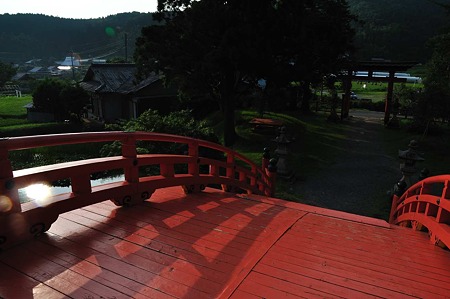 1008211656_DSC_8541