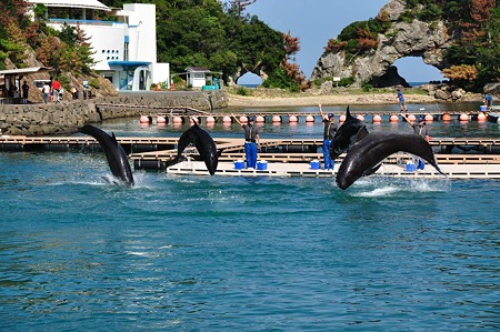 1009191424_DSC_2029