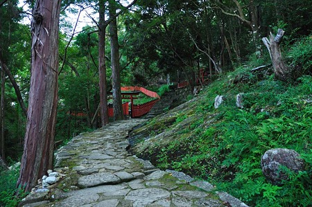 1009191618_DSC_2199