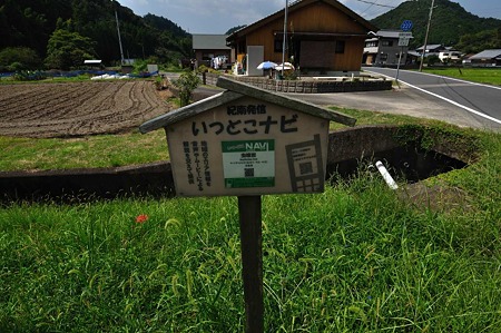 1009201101_DSC_2770