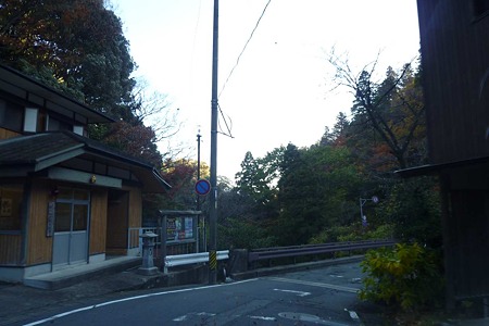 1011230829_P1710572