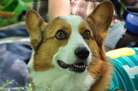 DSC_4528