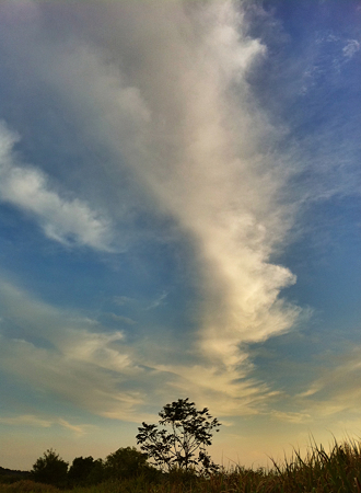 写真 3