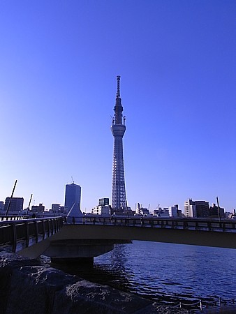 逆さスカイツリー