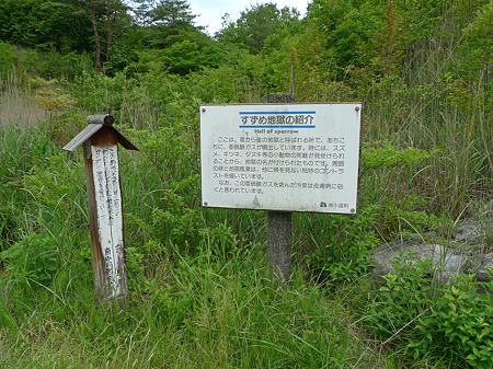 雀地獄(2)