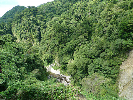 桂茶屋より見る九酔渓(2)