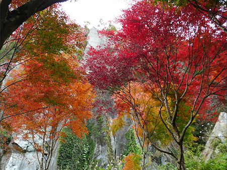一目八景~見晴らし台への登山道(3)