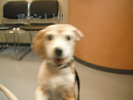 がーン