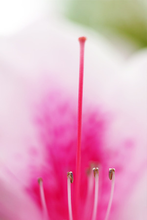 nex511050110