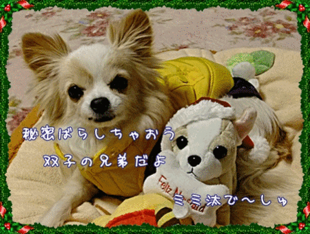 似てる?