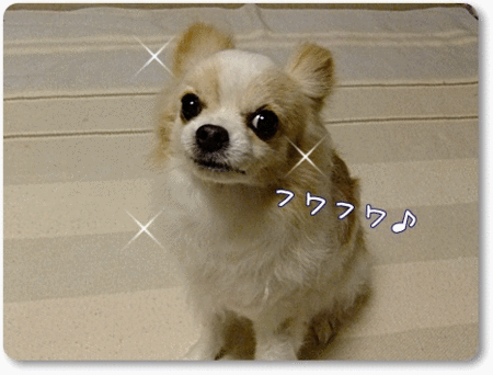 フワフワ