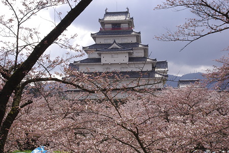 会津若松城と桜