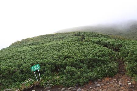 利尻岳-20100814-071443