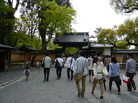 2011.5.8 041