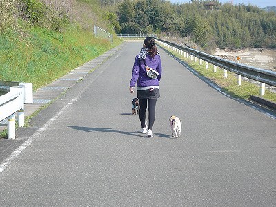 一本道