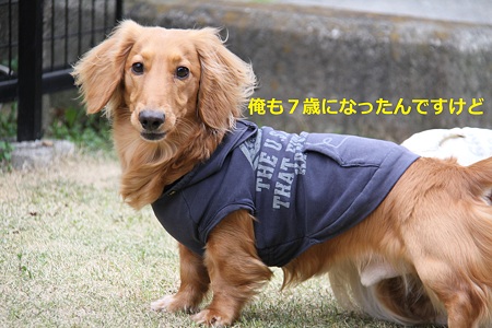 東矢 7歳