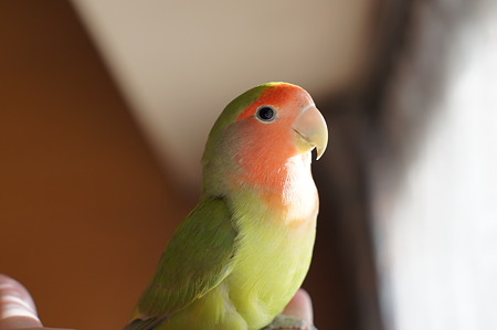 DSC05157