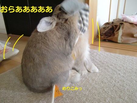 遊ぼう4