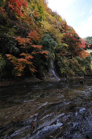 D3B_1230.resize